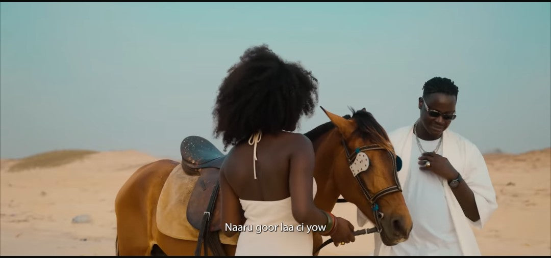 – Aras 🇸🇳| Prévente Exclusive