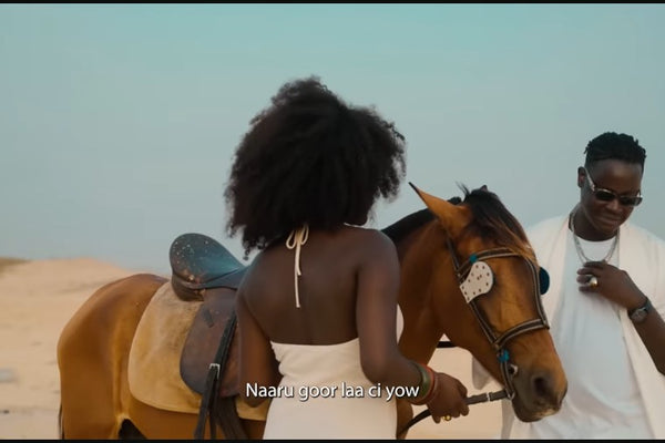 – Aras 🇸🇳| Prévente Exclusive